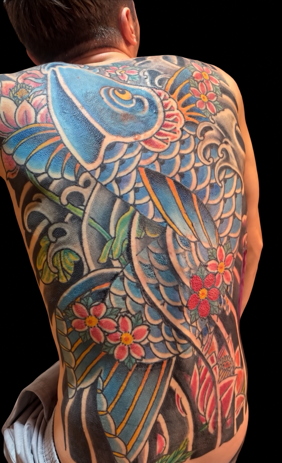 Large colour Japanese koi backpiece and sleeve displayed on a black gallery background
